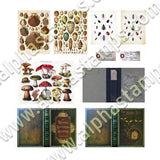 Cabinet of Curiosities Collage Sheet