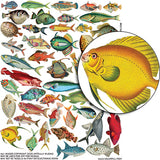 Colorful Fish Collage Sheet
