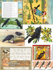 Crows #1 Collage Sheet