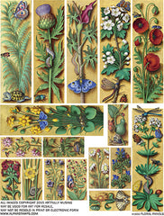 Floral Panels Collage Sheet