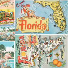 Florida & Flamingo Postcards Collage Sheet