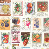 Fruit Postage Stamps Half Sheet