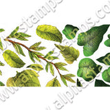 Green Leaves Collage Sheet