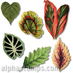 Leaves Set Download