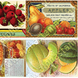 Mini Vintage Fruit Catalog Covers Collage Sheet