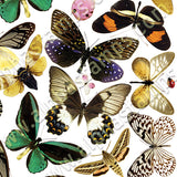 Montreal Butterfly Collage Sheet