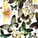 Montreal Butterfly Collage Sheet