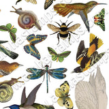 Nature's Creatures Collage Sheet
