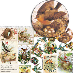 Petite Birds & Nests Half Sheet