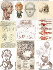 Phrenology Collage Sheet