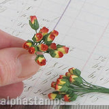 Mini Rose Buds - Red Cream Variegated