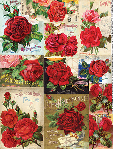 Red Roses Collage Sheet