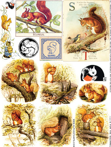 S for the Squirrel Collage Sheet