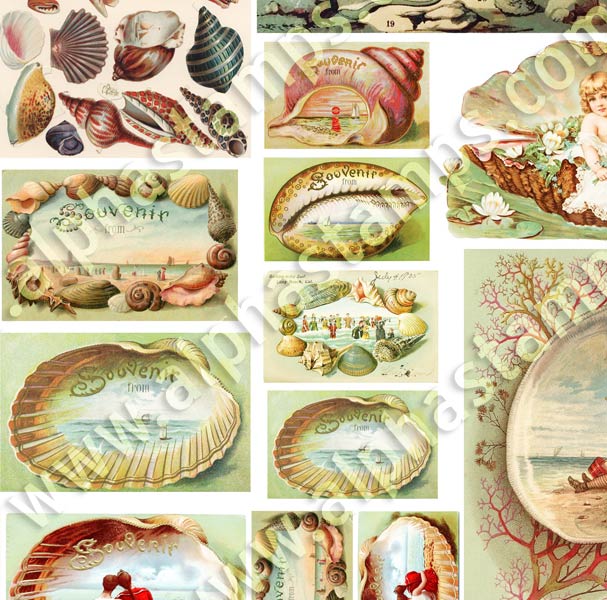 Shells & Souvenir Postcards Collage Sheet | Alpha Stamps