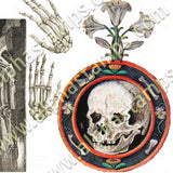 Skull & Bones Collage Sheet