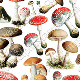 Toadstools Collage Sheet