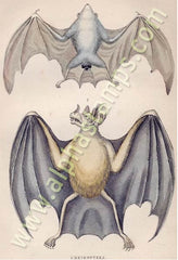 Victorian Bats Collage Sheet