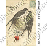 Victorian Ephemera - Birds Collage Sheet