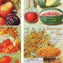 Vintage Fruit Catalog ATCs Collage Sheet