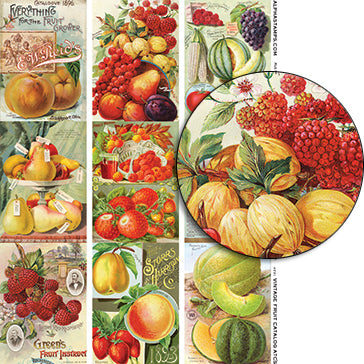 Vintage Fruit Catalog ATCs Collage Sheet