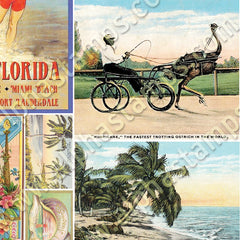Vintage Florida Souvenirs Collage Sheet