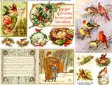 Winter Birds Collage Sheet
