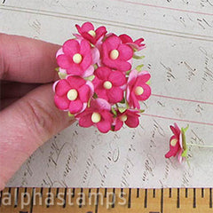 Small Bright Pink Mulberry Blossoms - SOLD OUT