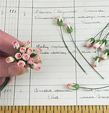 Mini Rose Buds - Pink Cream Variegated
