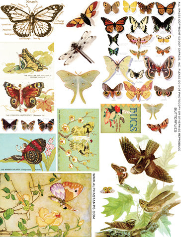 Butterflies Collage Sheet