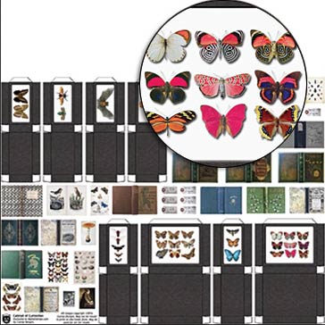 Cabinet of Curiosities Collage Sheet | Alpha Stamps