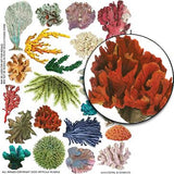 Coral & Seaweed Collage Sheet