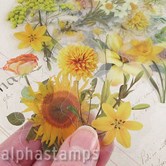 Daffodils Clear Sticker Set*