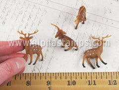 Miniature Reindeer