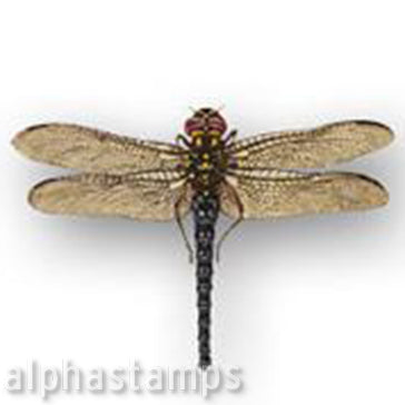 Dragonfly Download