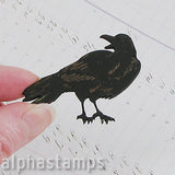 1.5 Inch Tall Etched Ravens