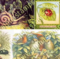 Fairy Animals Collage Sheet