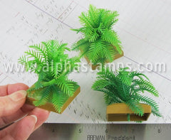 Miniature Potted Fern Plant