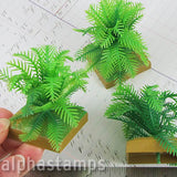 Miniature Potted Fern Plant