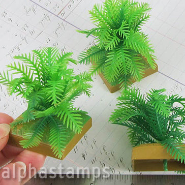Miniature Potted Fern Plant