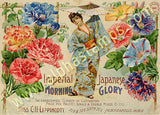 Flower Catalog Women ATCs Collage Sheet