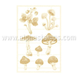 Forest Mushrooms Chipboard Set