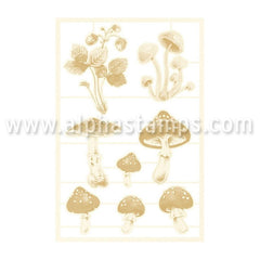 Forest Mushrooms Chipboard Set