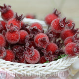 Frosted Berry Picks - Single Stems