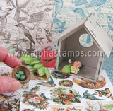 Bird Watcher Kit - May 2021 - SOLD OUT