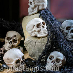 Larger Plastic Skull - SOLD OUT