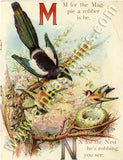 M for the Magpie Collage Sheet