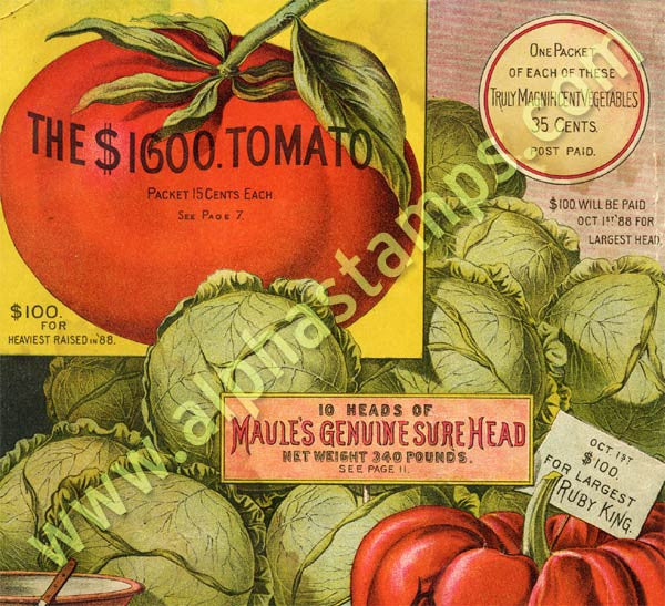 Majestic Tomato Collage Sheet | Alpha Stamps