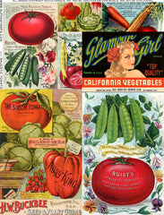 Majestic Tomato Collage Sheet