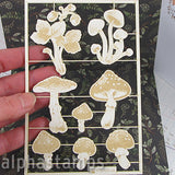 Forest Mushrooms Chipboard Set