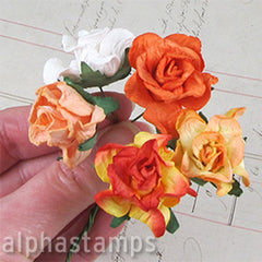 Gardenias - Mixed Cream Yellow Orange - SOLD OUT